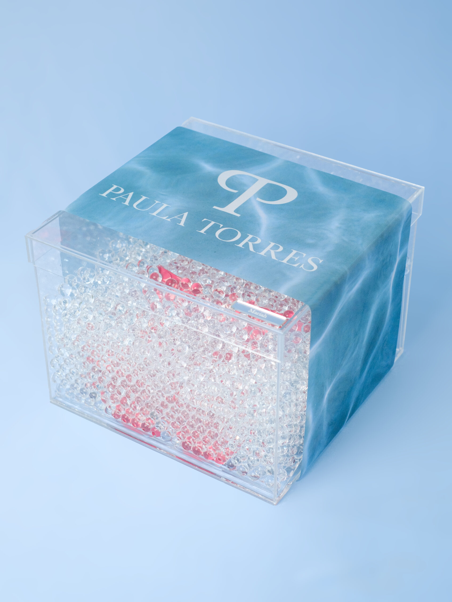 20231128 - Dipty 0009