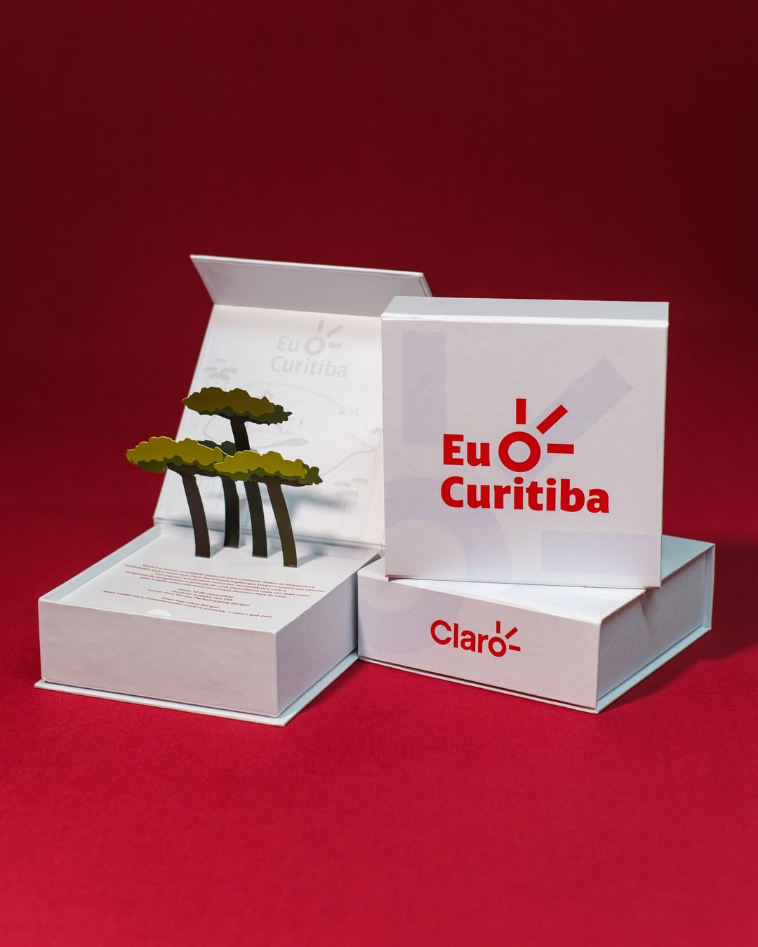 SaveClip.App_468509963_18051170009007272_8335221717138083046_n (1)