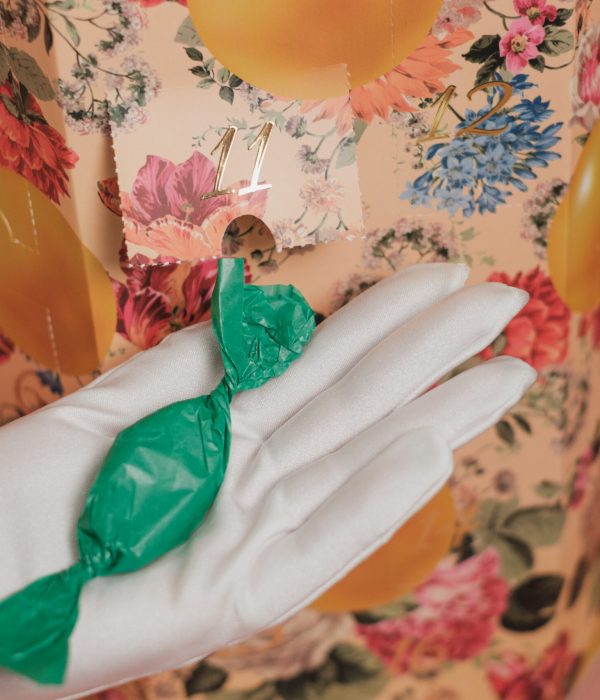 20231212 - Dipty 034